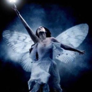 Meet your Posher, Debi